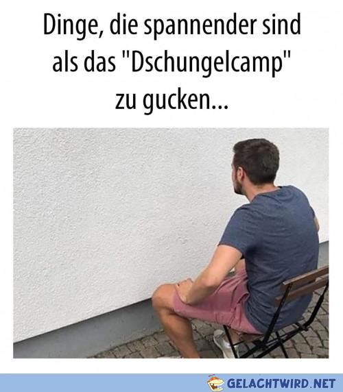 Kann ichn Lied von singen