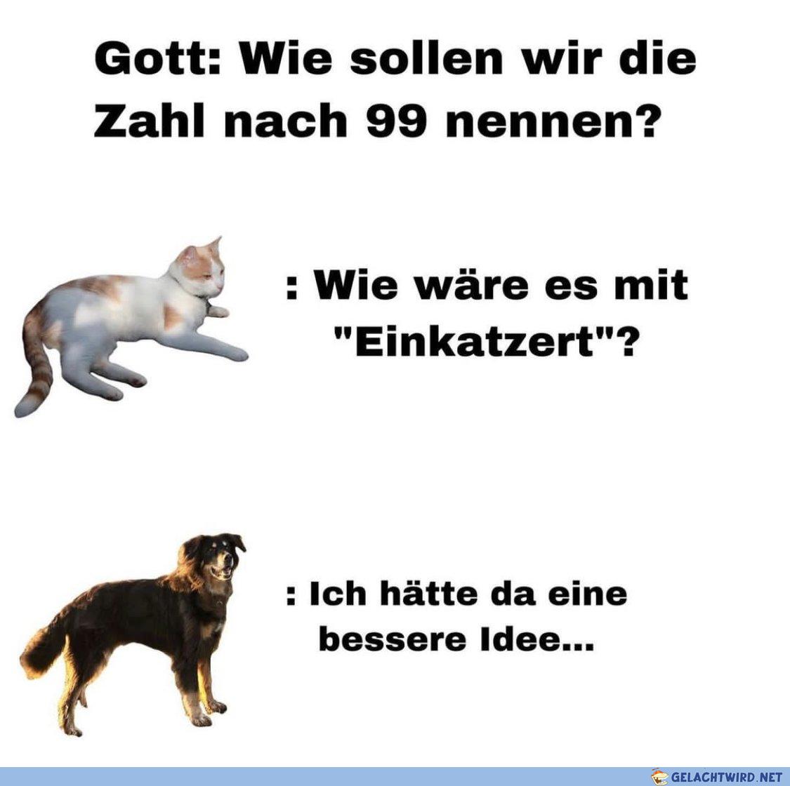 Katzertpro Zustimmung