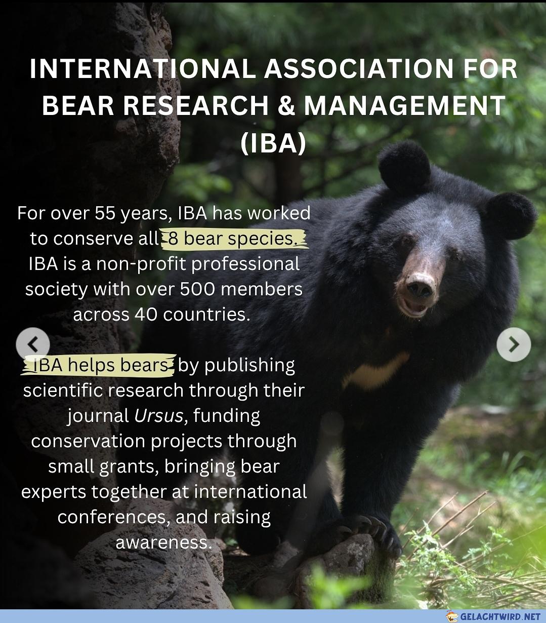 KBM/MBM: IBA