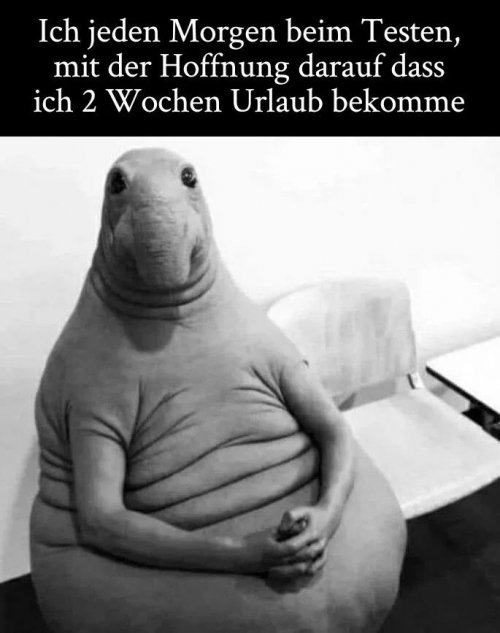 Kennt man