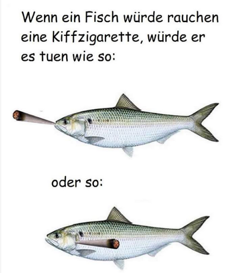 kiffzigarette.png