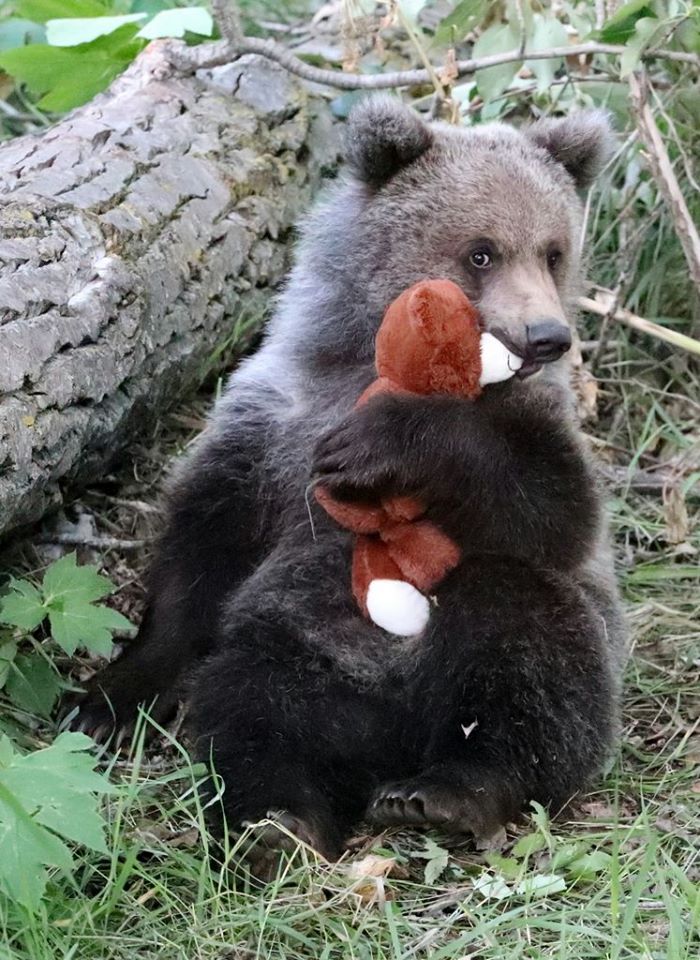 kl1er ber mit s1 ber