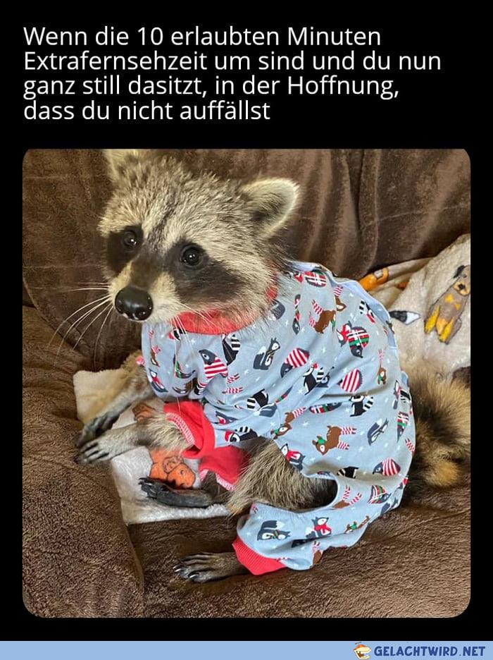 klappte erstaunlich oft