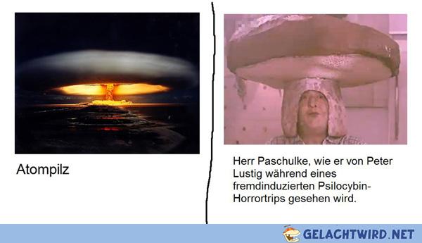 Klassische VWG