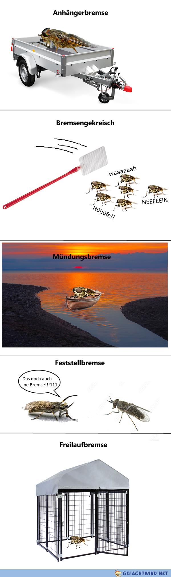 Kleine Bremscollection