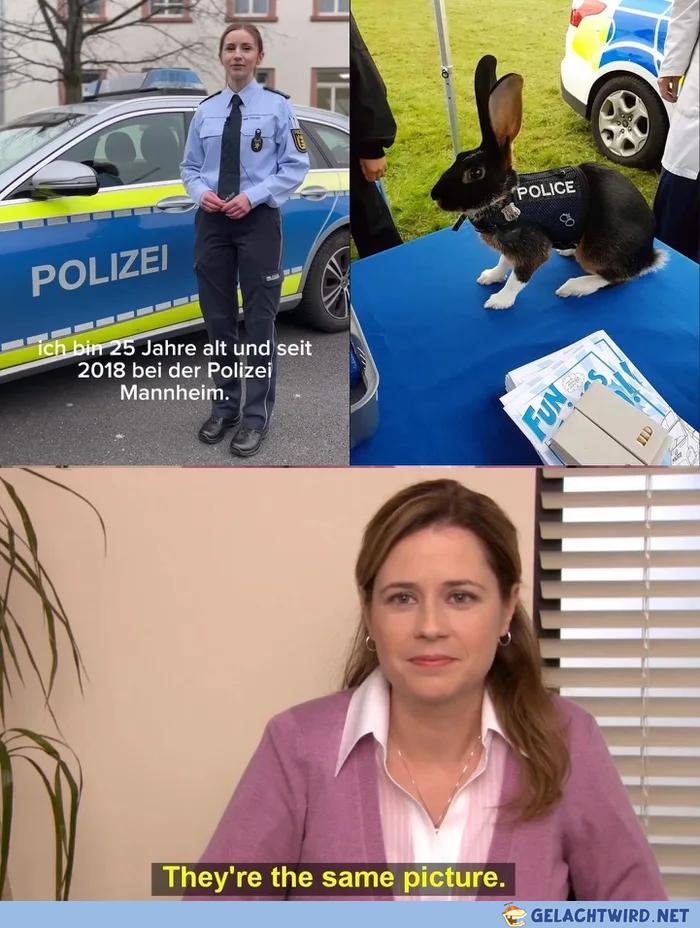 Kleiner Hasenpolizist