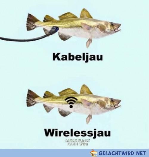 Klodgedanken