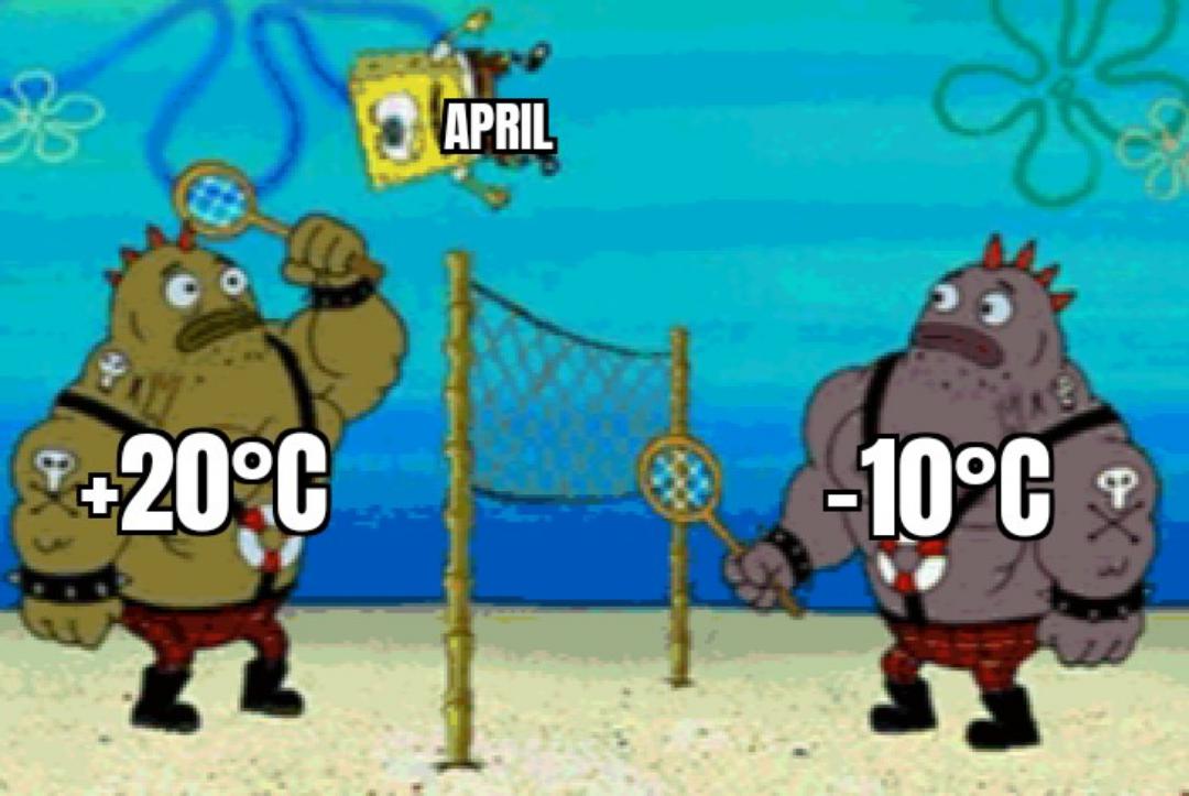 Kommt hin
