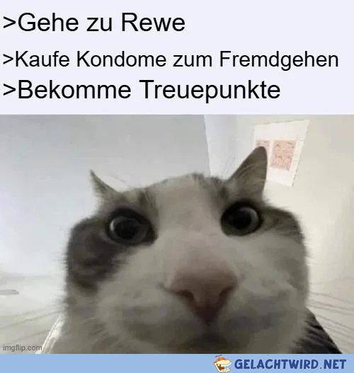 Komplette Verwirrung
