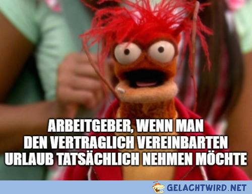 Konnte keiner mit rechnen