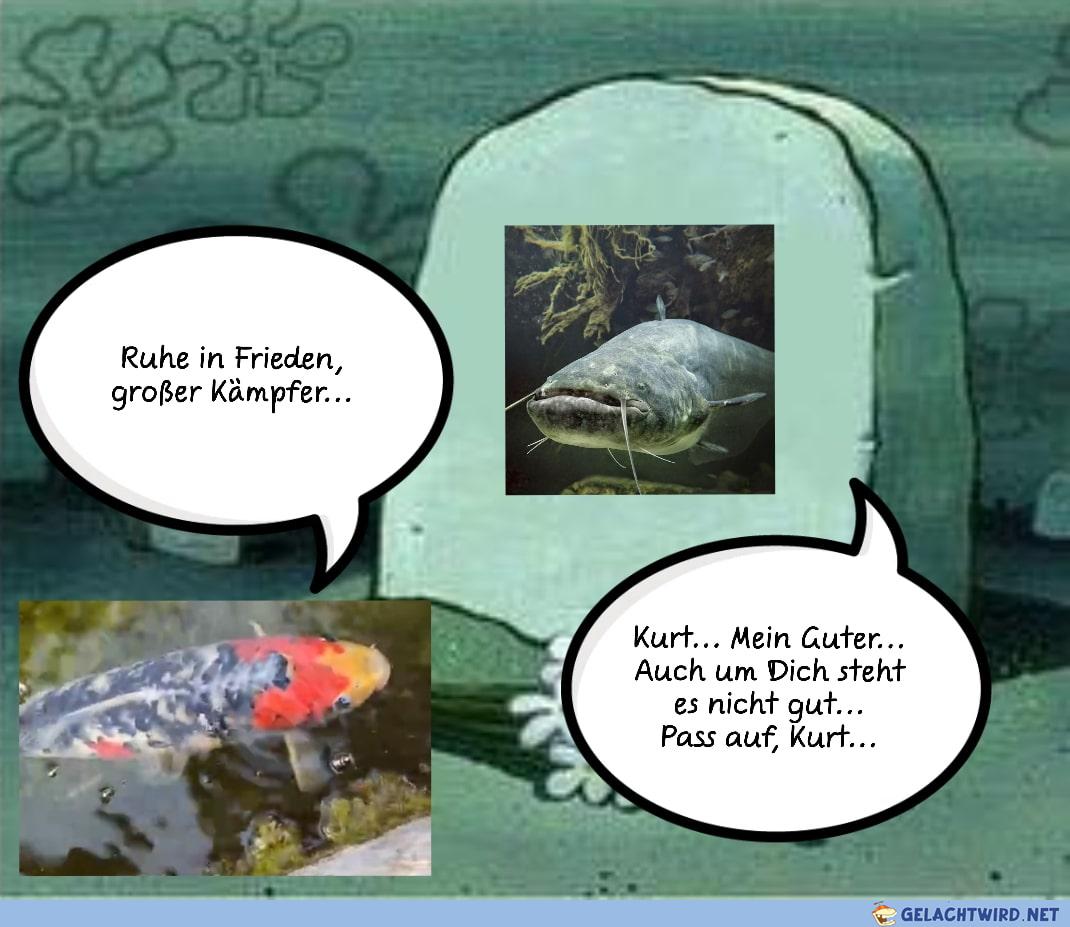 Kurt...