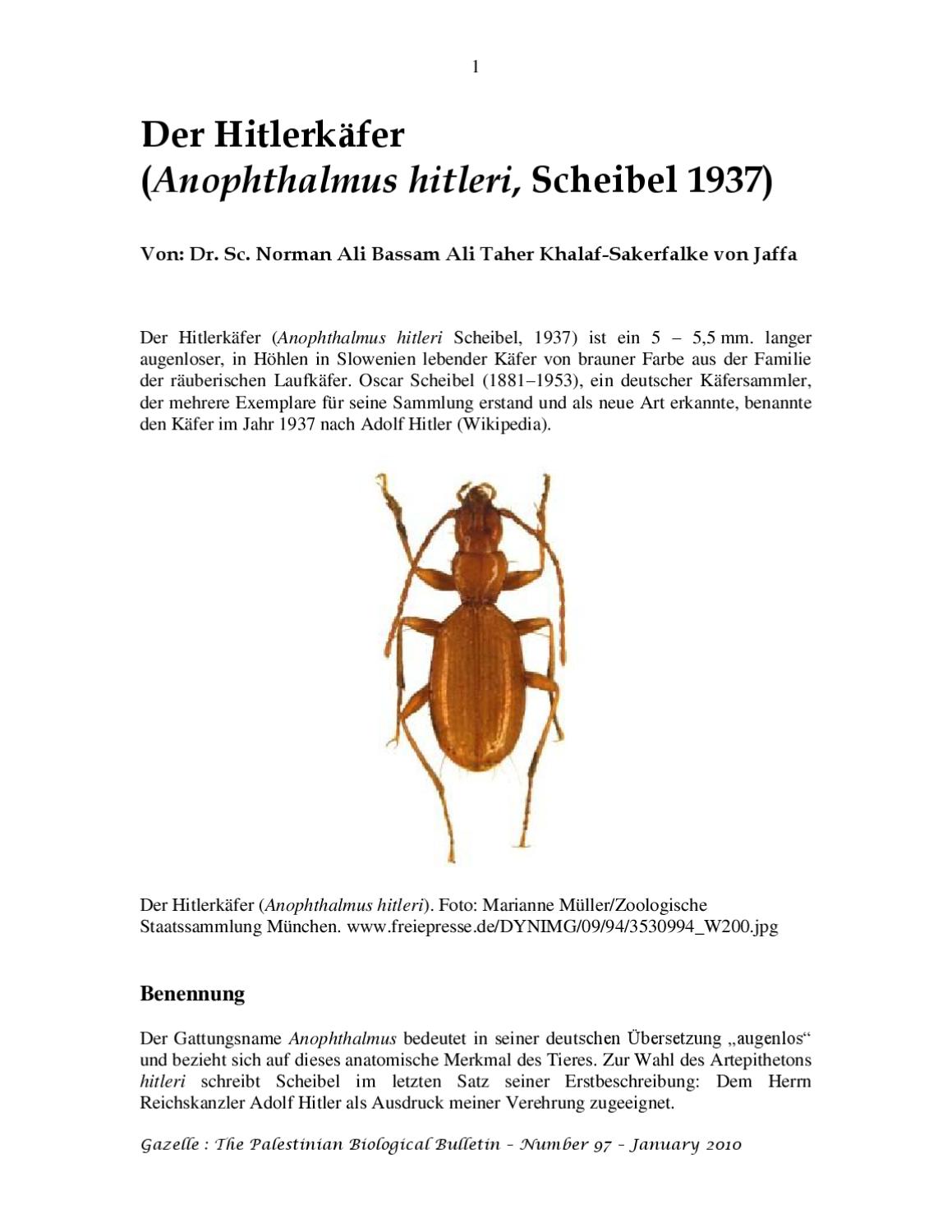 Käferfus Adolfus Hitleri