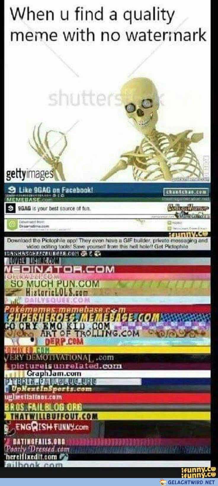 l6t6x8buoe4f1.jpeg