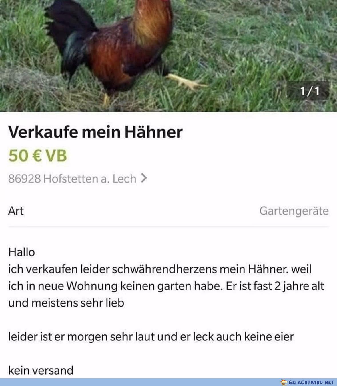 Leck keine Eier