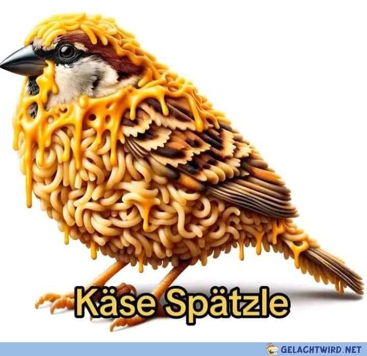 Leicht und lecker