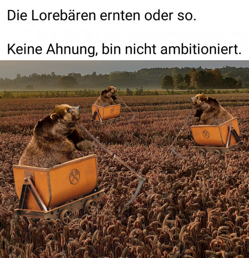 leider ein e zuviel