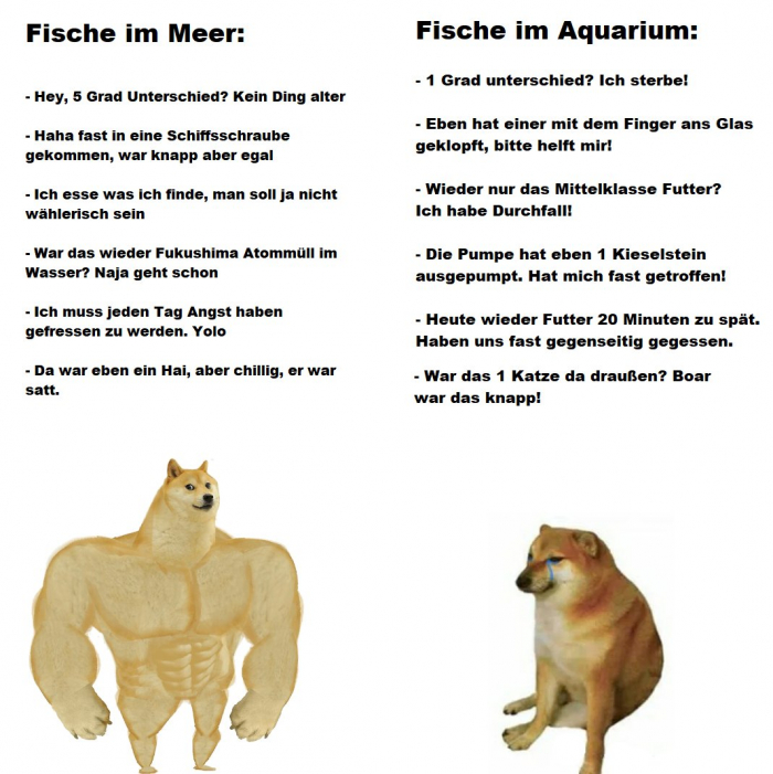 Leider wahr