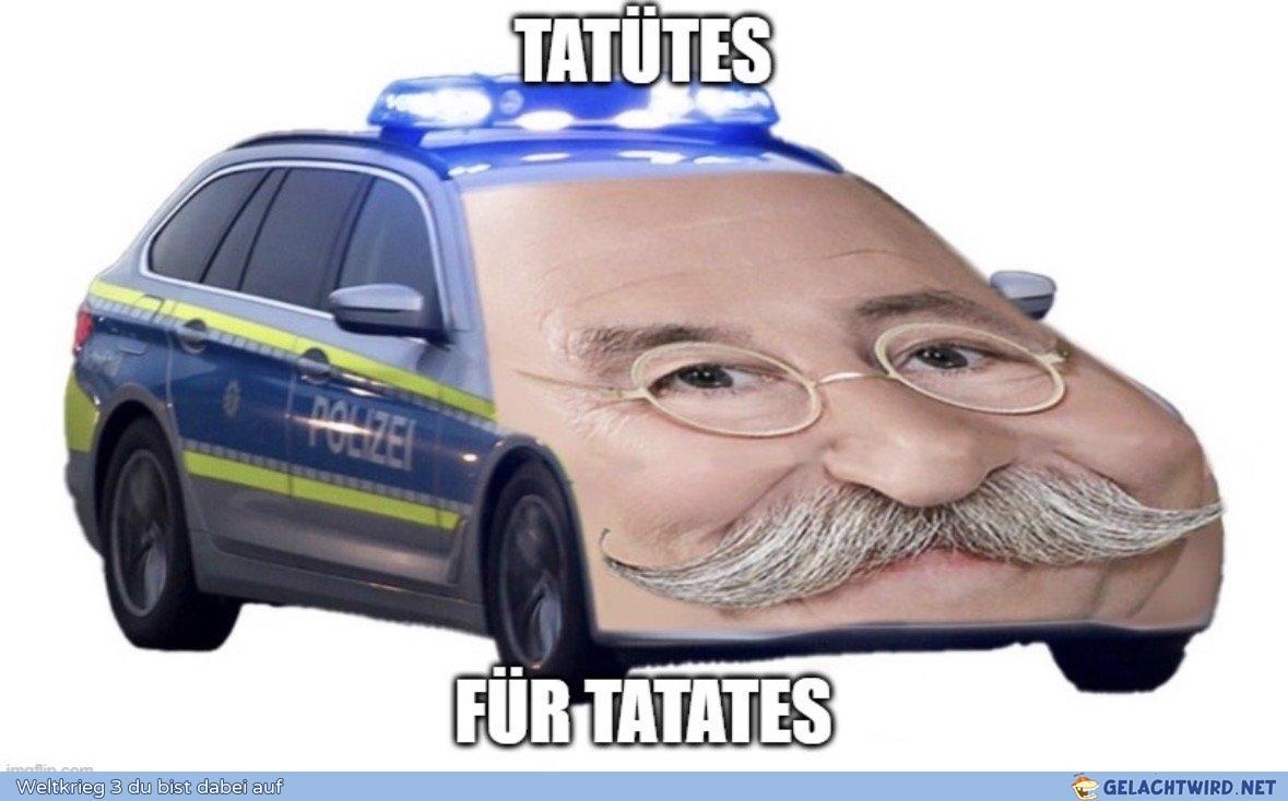 lel das audo