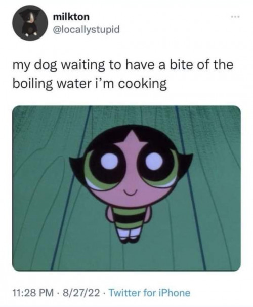 lel der alte dooog