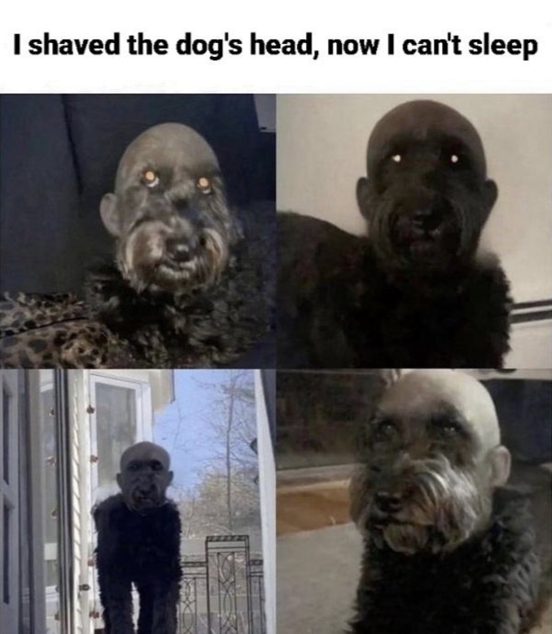 Lel der hunt