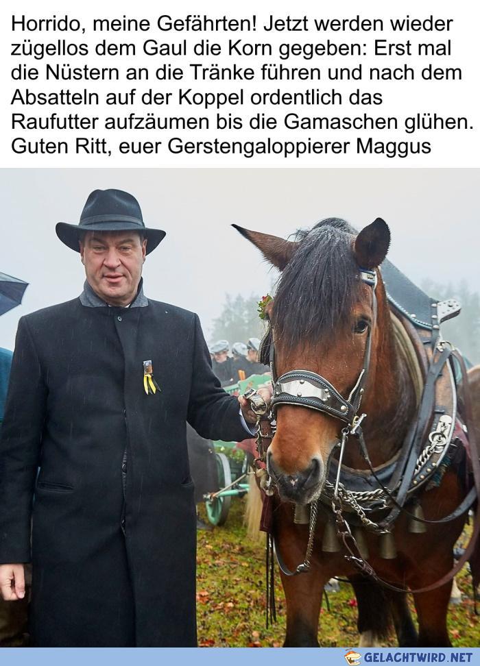 lel der Maggus