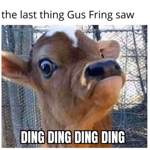 LeL der Salamanker