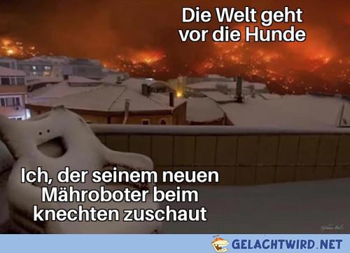 lel wie er knechtet