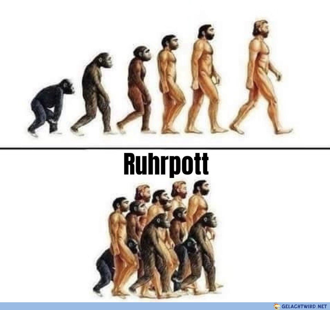 lel