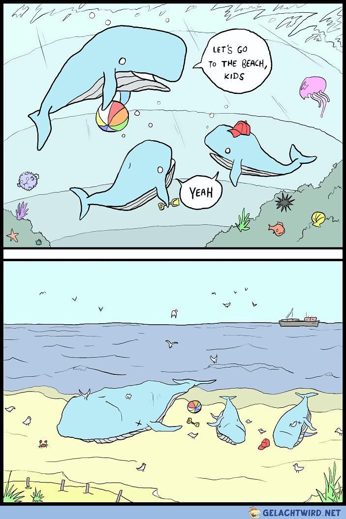 Lets_go_to_the_beach_kids