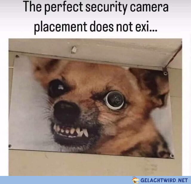 lol das 0wge