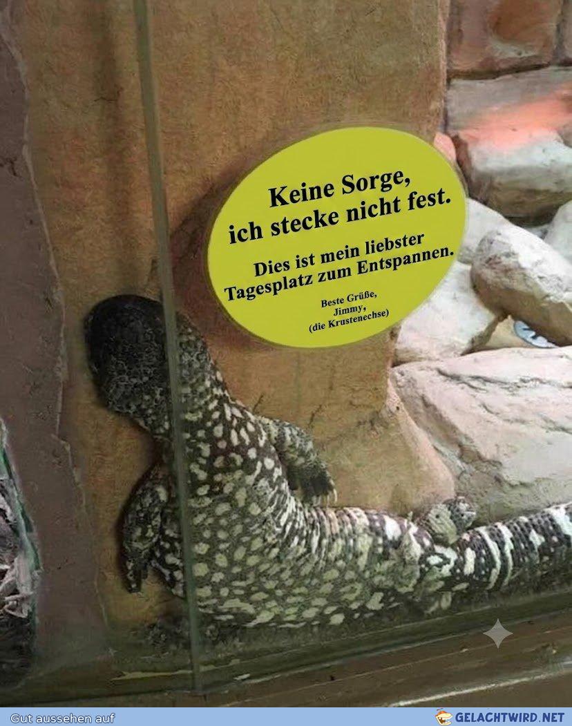lol der Dschimmi