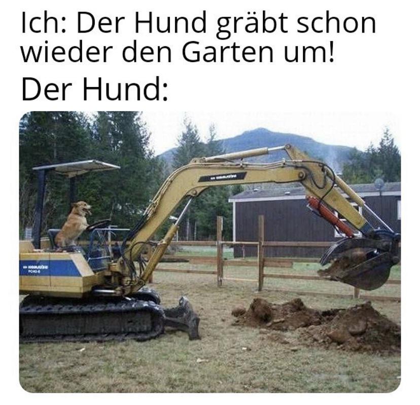 lol der Hunt