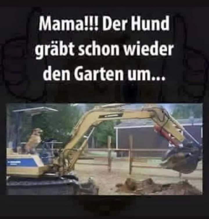 Lol der hunt