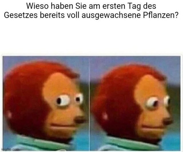 lol die Kiffer