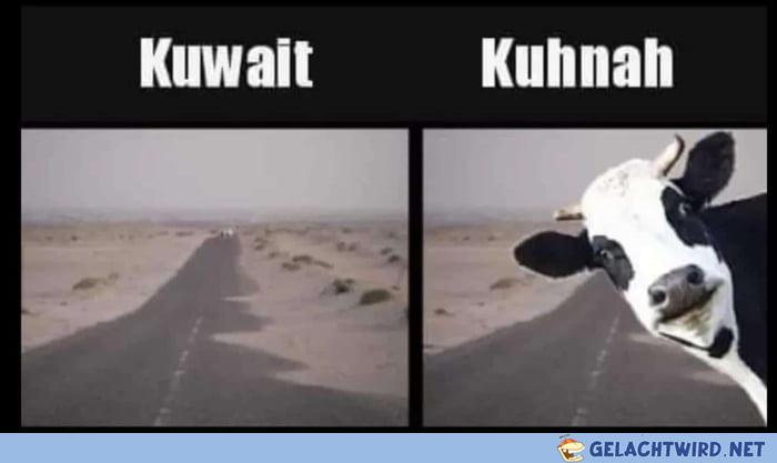 lol die Q