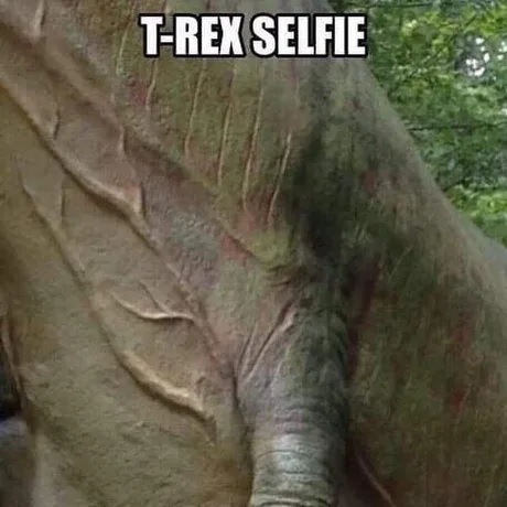 lol