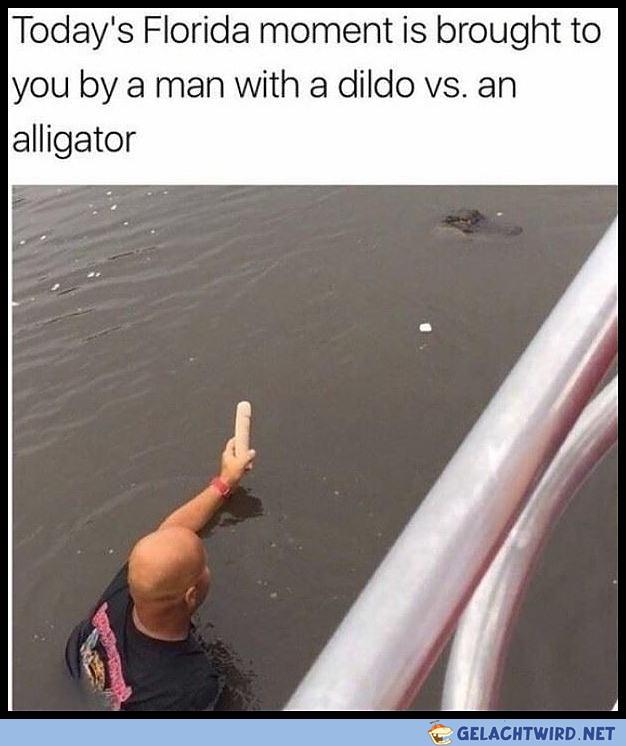 Lord Avalon