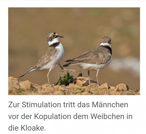 Mache ich immer so
