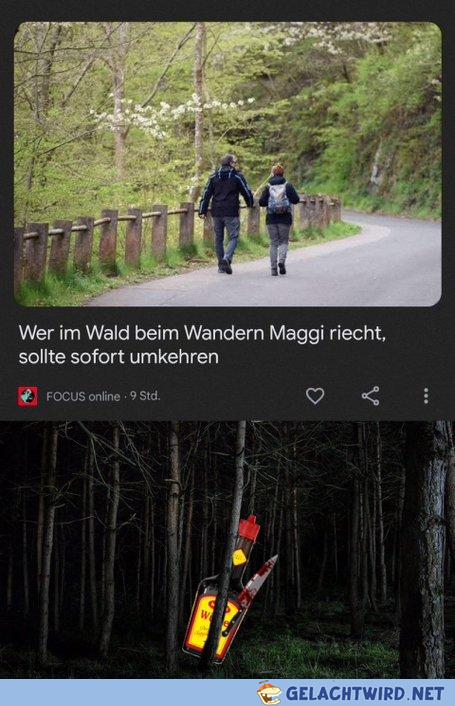 Maggi