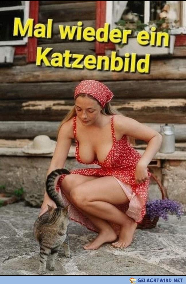 Mal ein Katzenbild von mir