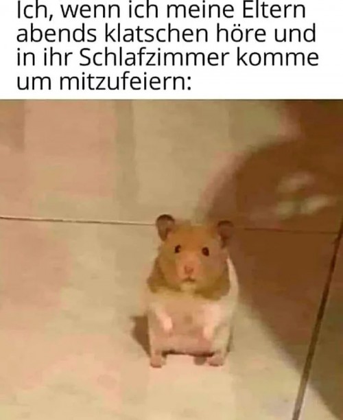 Mammer?
