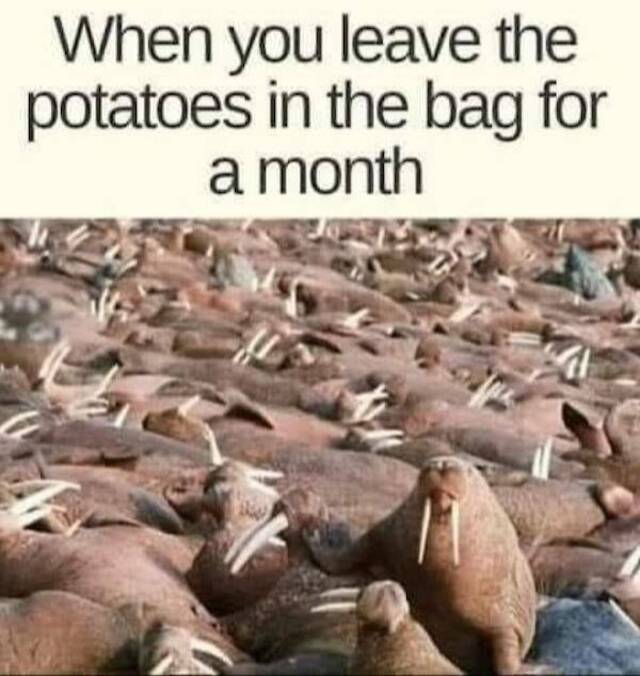 Man kennt es