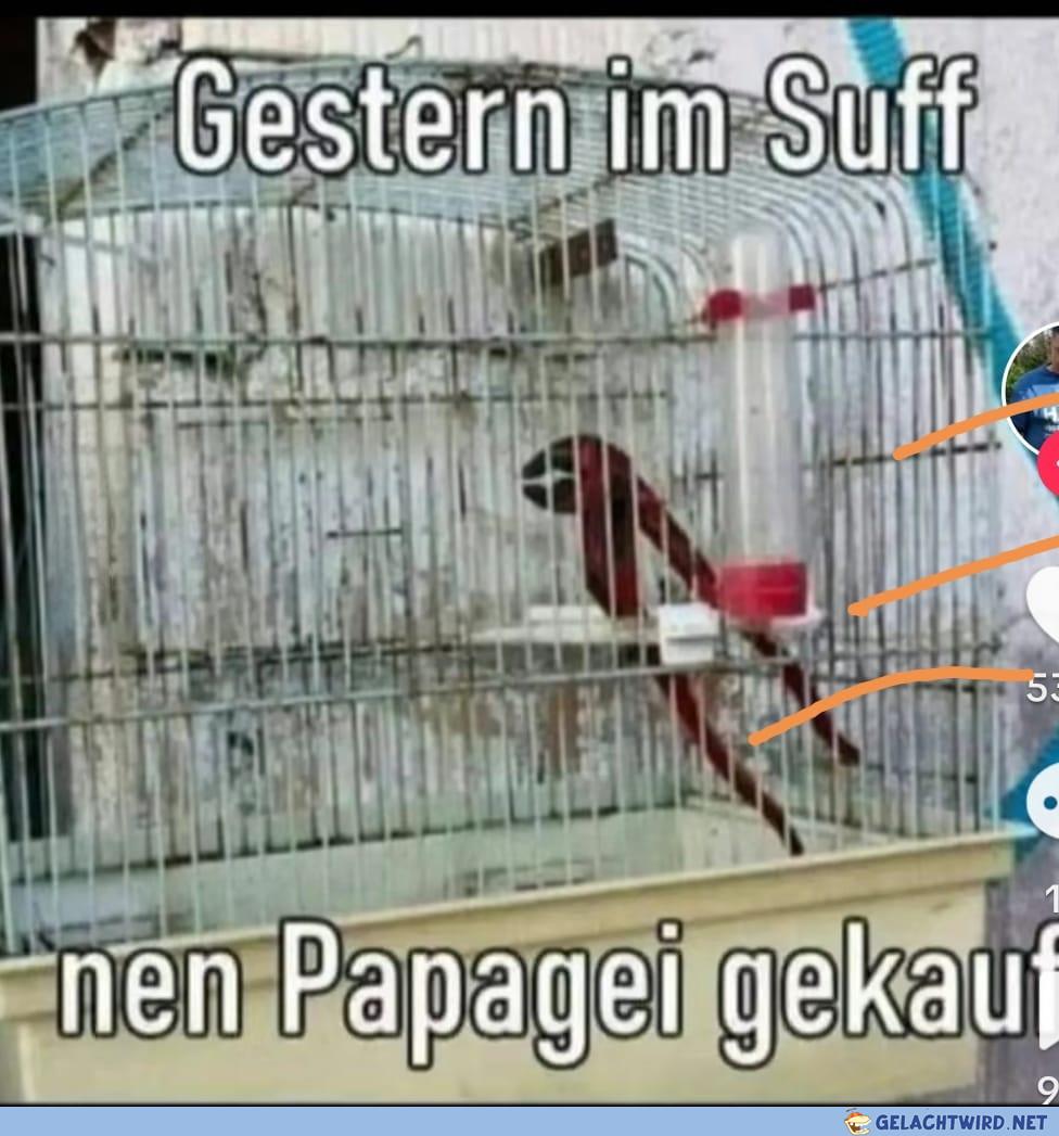 Man kennt's