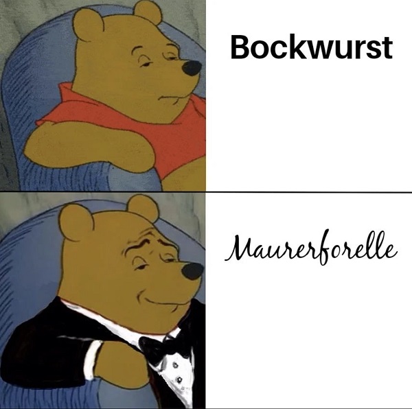 Maurerforelle