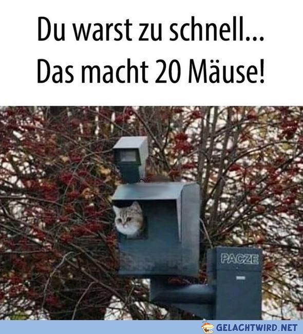 Mausefalle