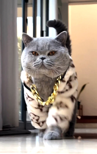 Mega swagger BKH