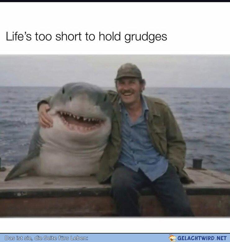 Mein Freund Flipper