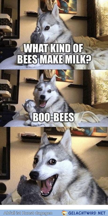 Milk