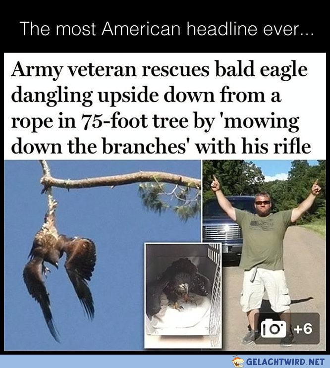 Most American Headline