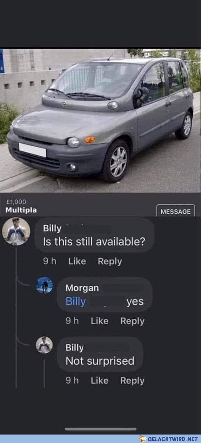 Multipla